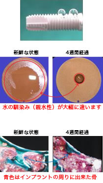 小川先生が発表された研究