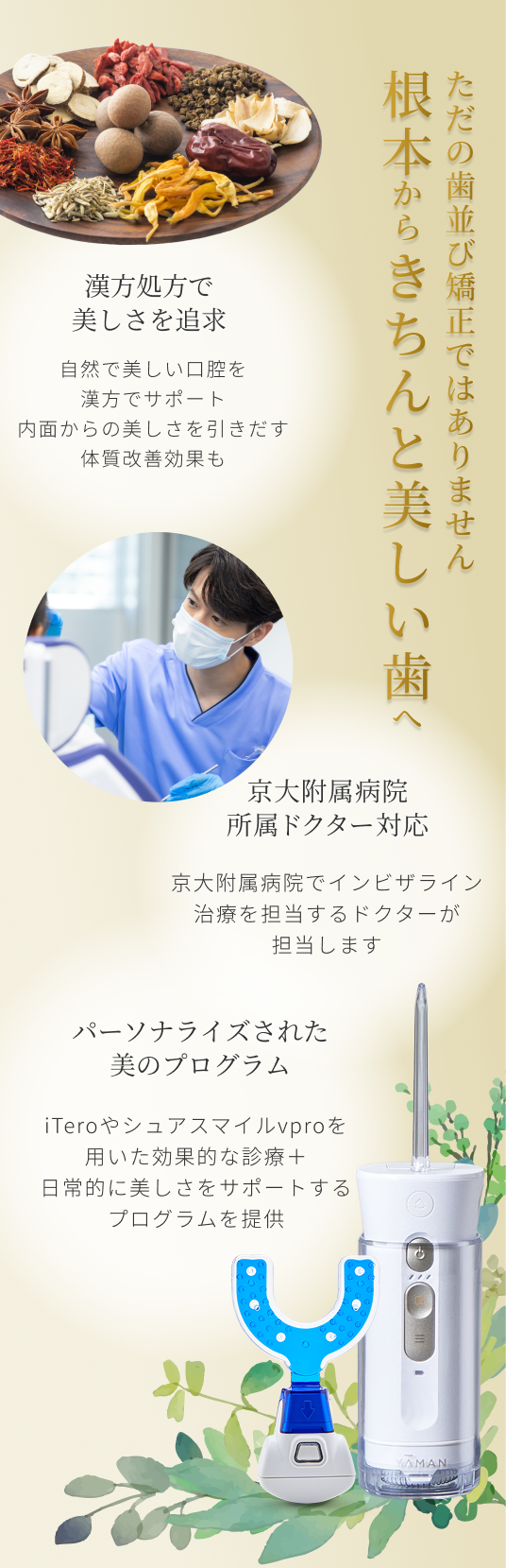 根本からきちんと美しい歯へ